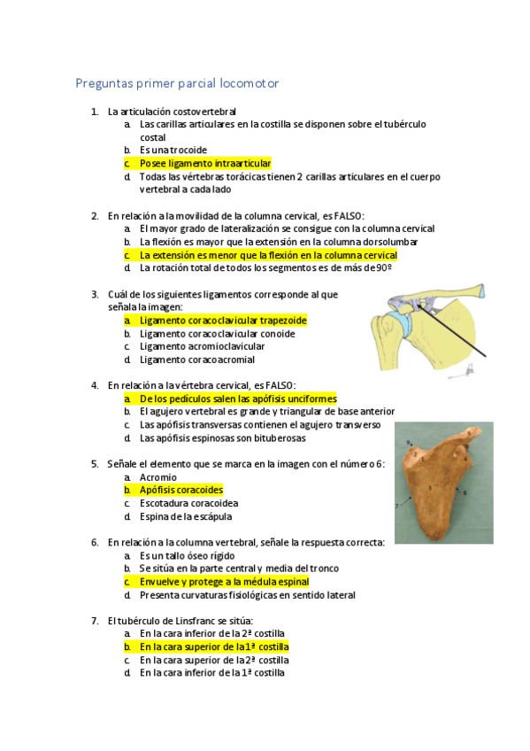 Miniatura del documento Preguntas-primer-parcial-locomotor.pdf