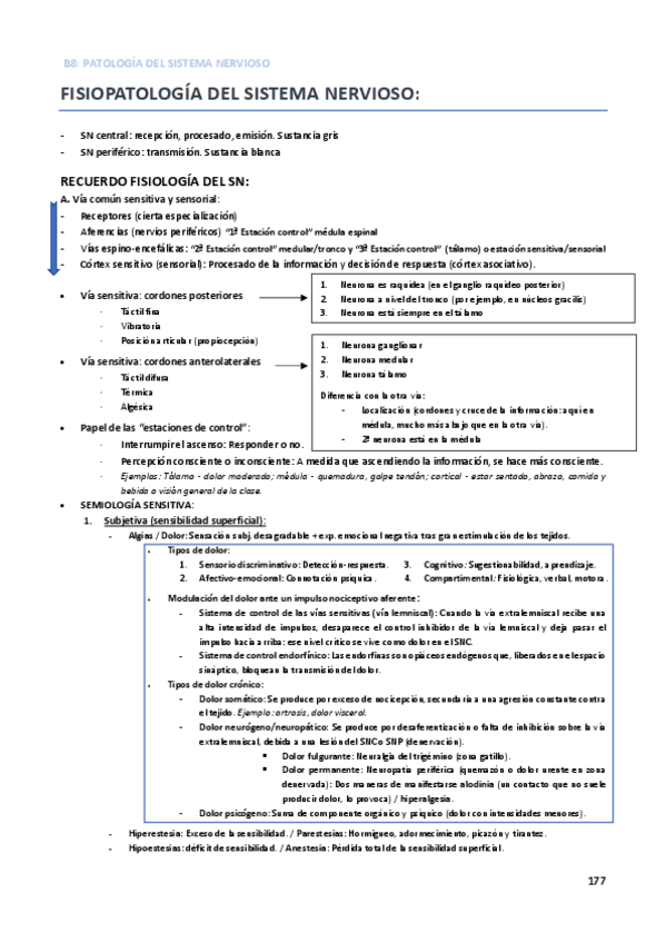 Miniatura del documento APUNTES COMPLETOS B8.pdf