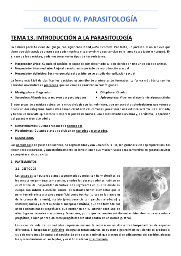 Miniatura del documento BLOQUE-IV.pdf