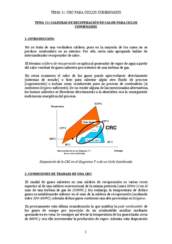 Miniatura del documento TEMA 11.pdf
