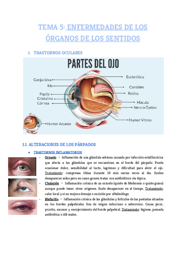 Miniatura del documento Tema-5.pdf