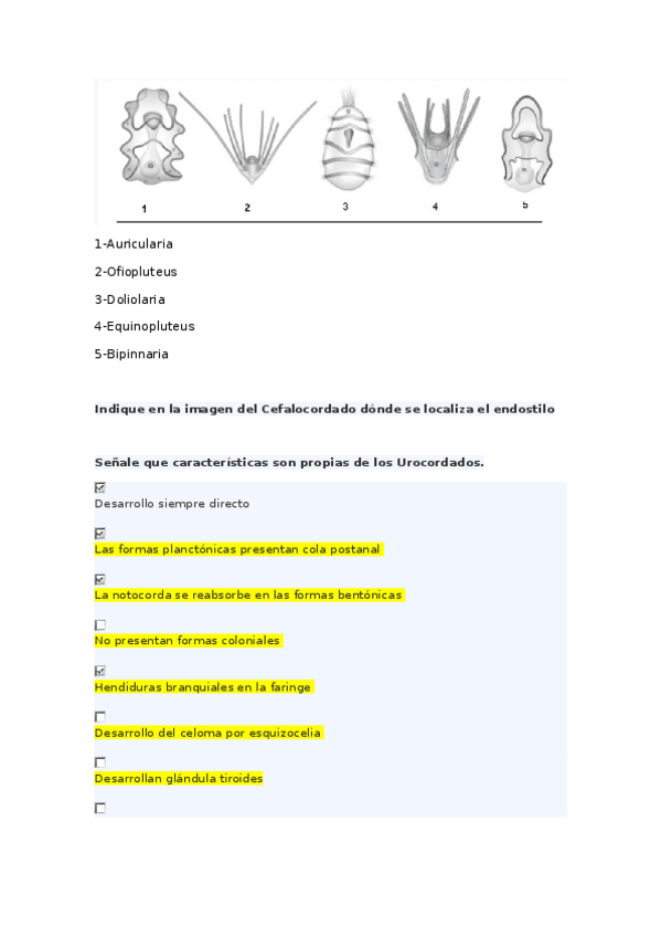 Miniatura del documento Preguntas-zoologia.docx