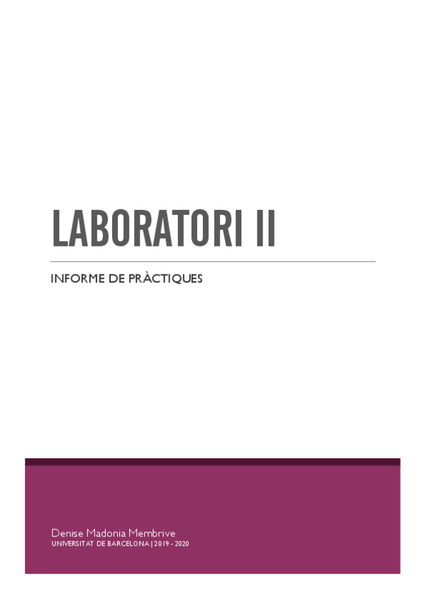 Miniatura del documento Laboratori-II.pdf