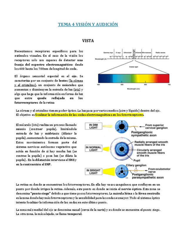 Miniatura del documento B8-T4.pdf