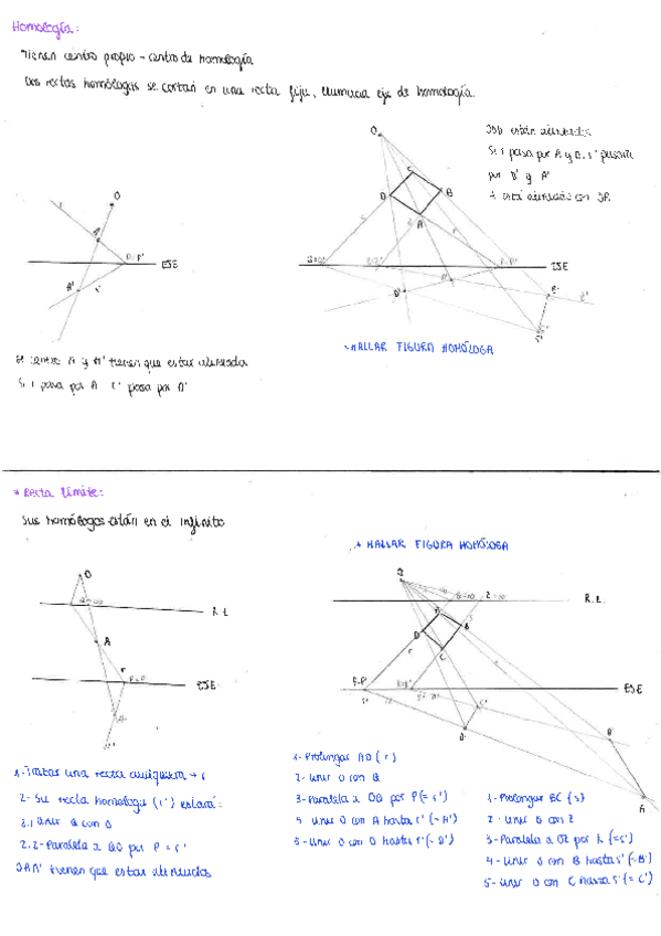 Miniatura del documento Homologia-afinidad-e-inversion.pdf