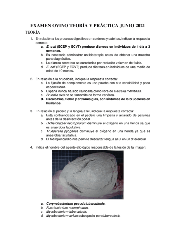 Miniatura del documento EXAMEN-OVINO-TEORIA-Y-PRACTICA-JUNIO-2021.pdf