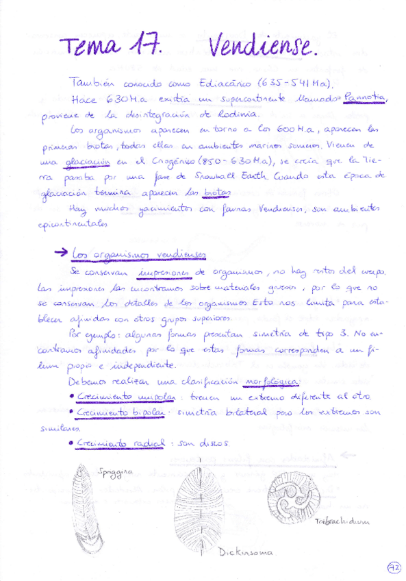 Miniatura del documento Tema 17 Vendiense.pdf