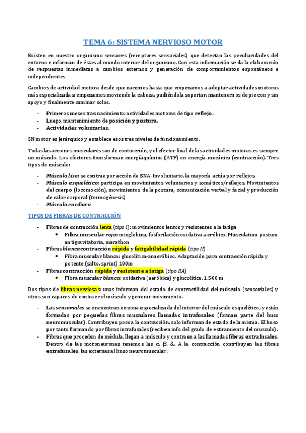 Miniatura del documento B8- T6 COMPLETO.pdf