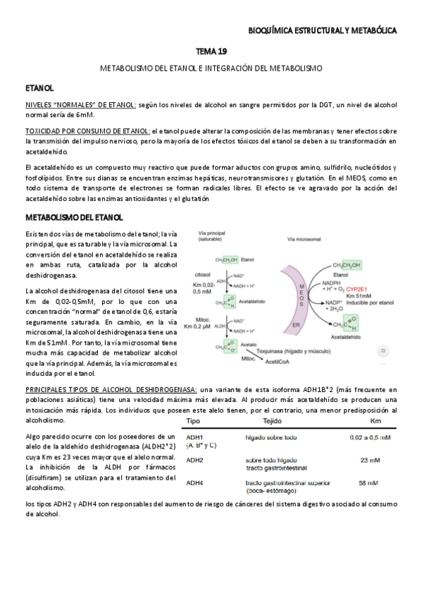 Miniatura del documento TEMA-19.pdf