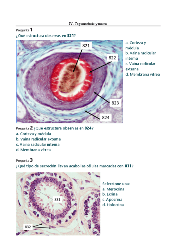 Miniatura del documento RECOPILACION-EXAMENES-PRACTICAS-parte-2.pdf