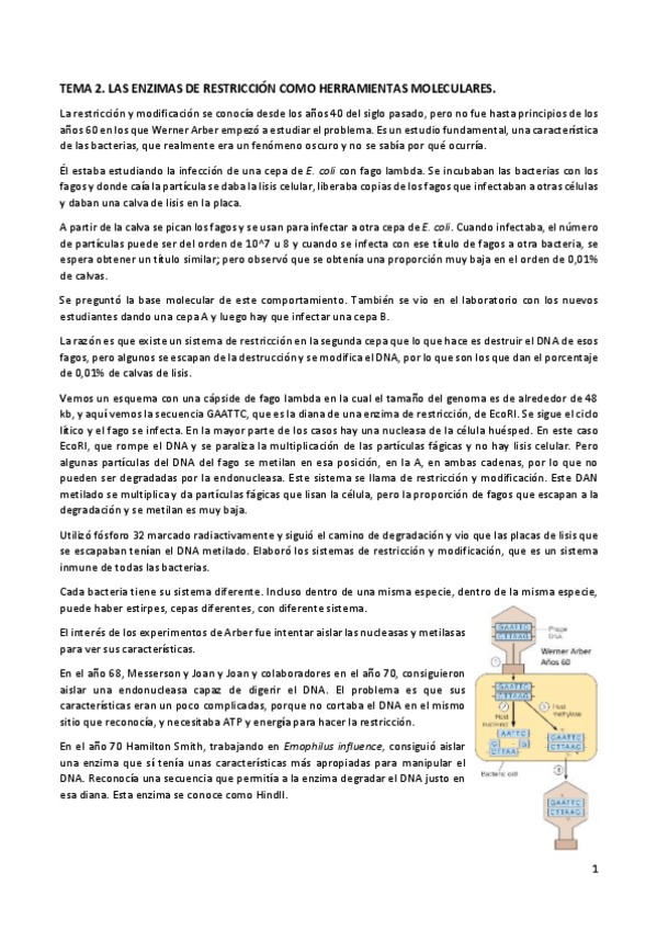 Miniatura del documento TEMA2funda.pdf