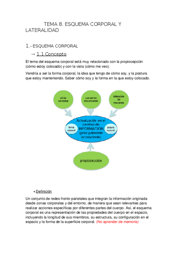 Miniatura del documento Tema-8-ESQUEMA-CORPORAL-Y-LATERALIDAD.docx