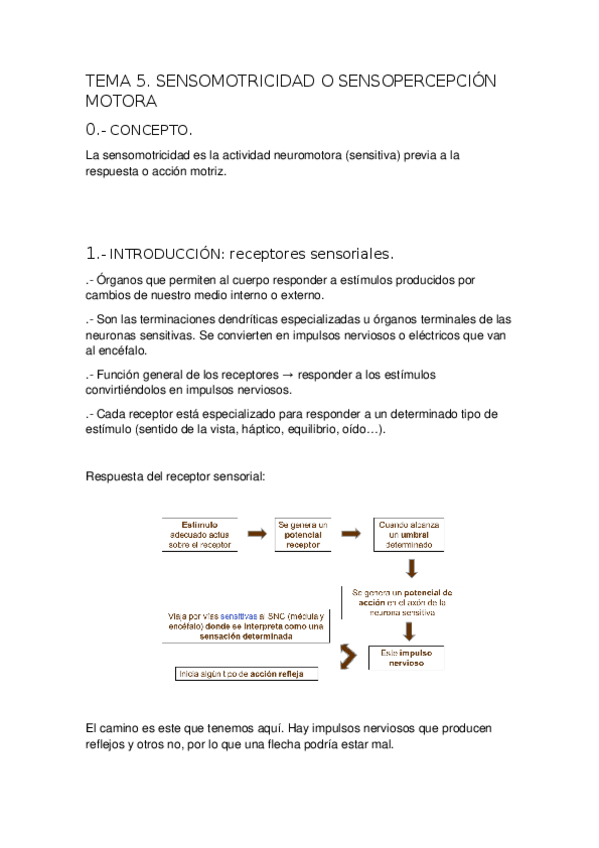 Miniatura del documento TEMA-5-SENSOMOTRICIDAD-O-SENSOPERCEPCION-MOTORA.docx