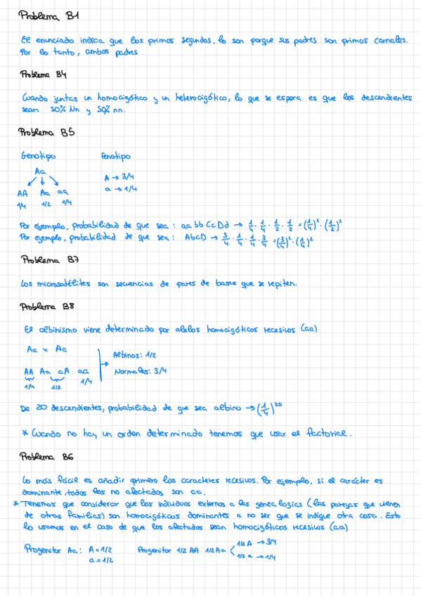Miniatura del documento Problemas-Practica-B-resueltos.pdf