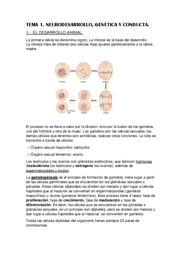 Miniatura del documento tema-1.pdf