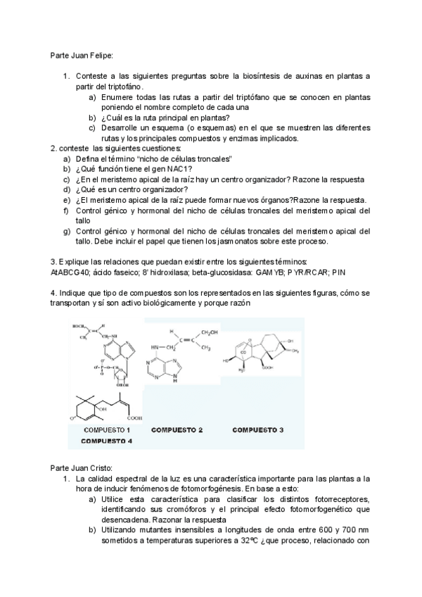 Miniatura del documento Examen-FVII-julio.pdf