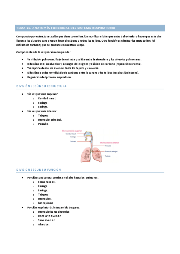 Miniatura del documento sistema-respiratorio.pdf