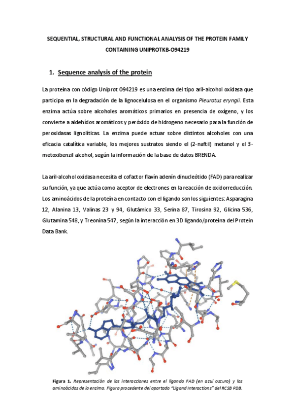 Miniatura del documento Proyecto-Bioinformatica.pdf