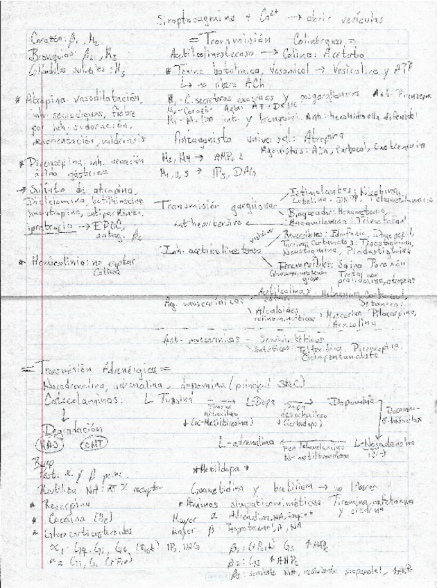 Miniatura del documento Resumenes.pdf