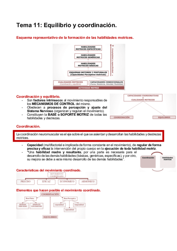 Miniatura del documento HABILIDADES-T11.pdf