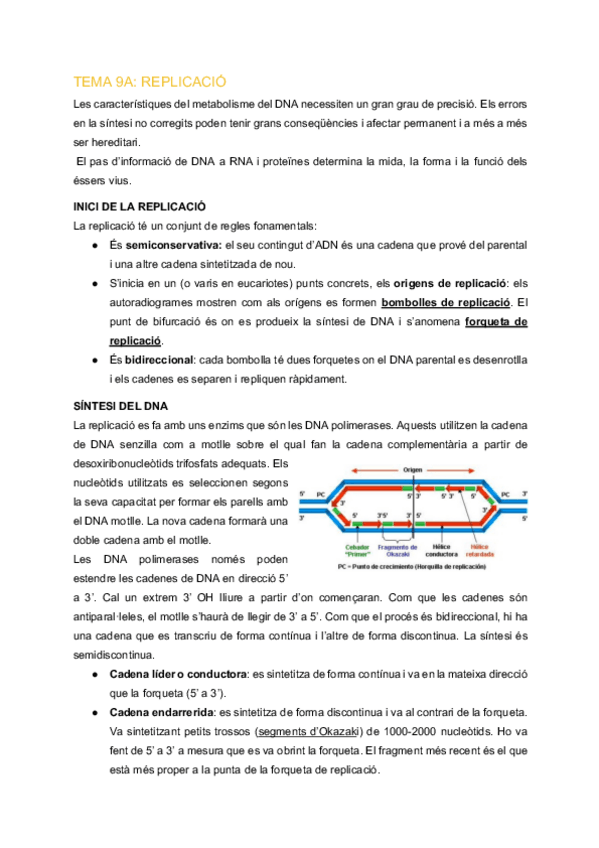 Miniatura del documento EFB-Tema-9A-Replicacio.pdf
