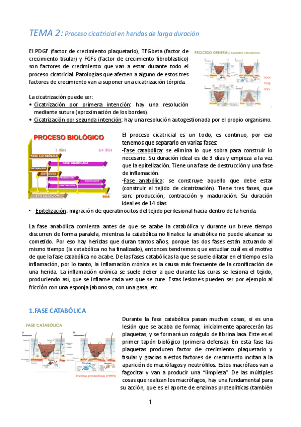 Miniatura del documento Tema-2-pie-de-riesgo.pdf