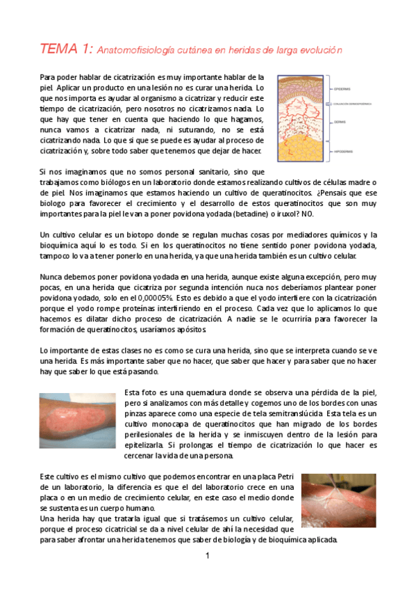 Miniatura del documento Tema-1-pie-de-riesgo.pdf