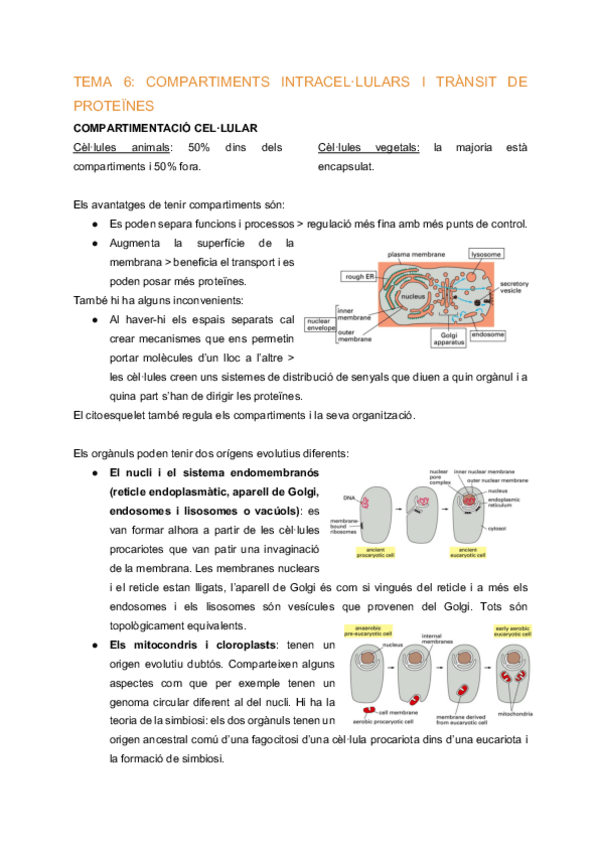 Miniatura del documento BC-Tema-6-Compartiments-intracellulars-i-transit-de-proteines.pdf