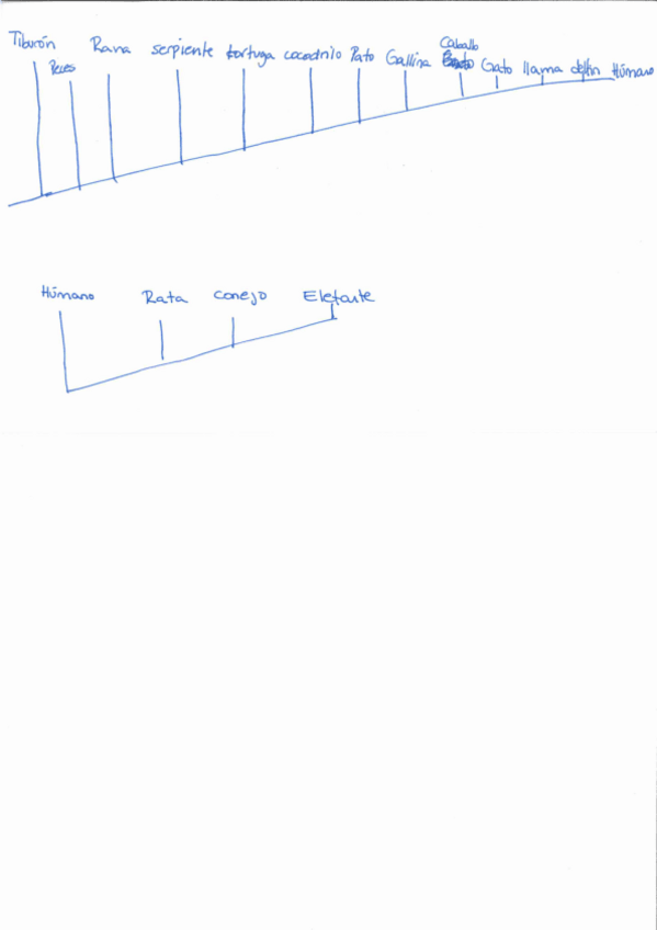 Miniatura del documento ZOOLOGIA.pdf