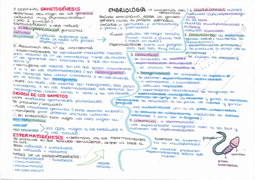 Miniatura del documento 20210723145817626.pdf