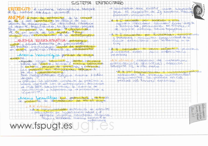 Miniatura del documento PATOLOGIA-GENERAL.pdf
