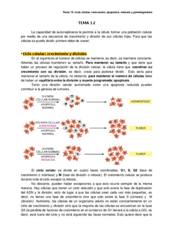 Miniatura del documento TEMA-12.docx