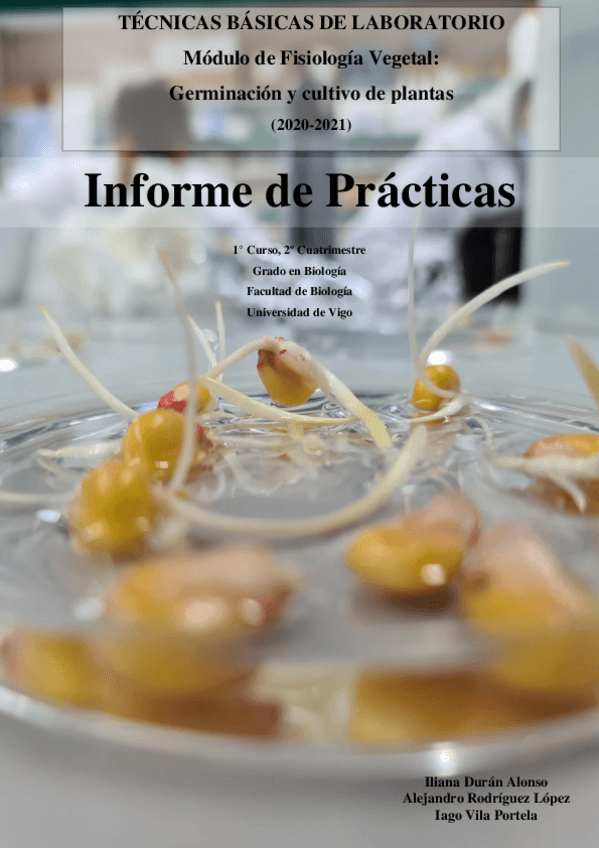 Miniatura del documento Informe-Fisologia-Vegetal-Subgrupo-C.pdf