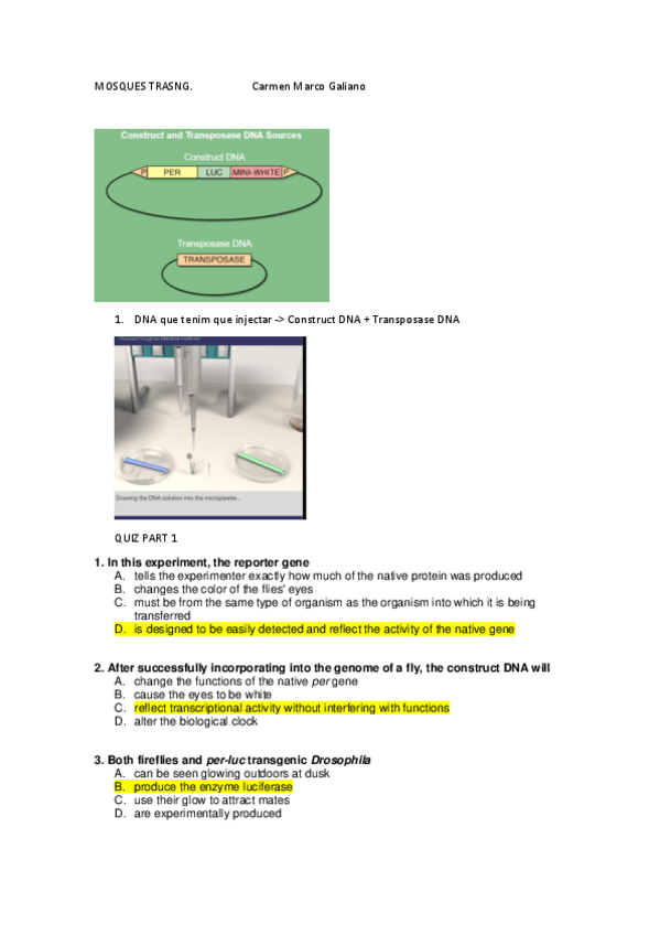Miniatura del documento MOSQUES-TRASNG.pdf