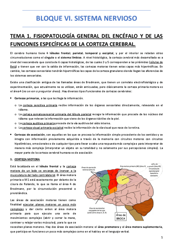 Miniatura del documento BLOQUE-VI.pdf