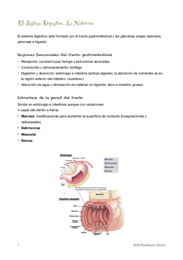 Miniatura del documento 1. Sistema Digestivo