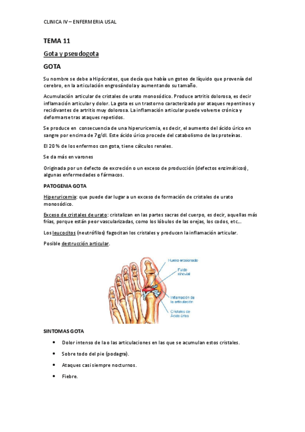 Miniatura del documento TEMA-11-CLINICA-IV-ENFERMERIA-USAL.pdf