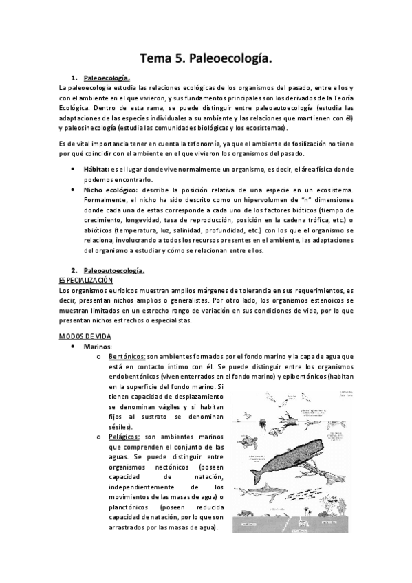 Miniatura del documento Tema-5.pdf