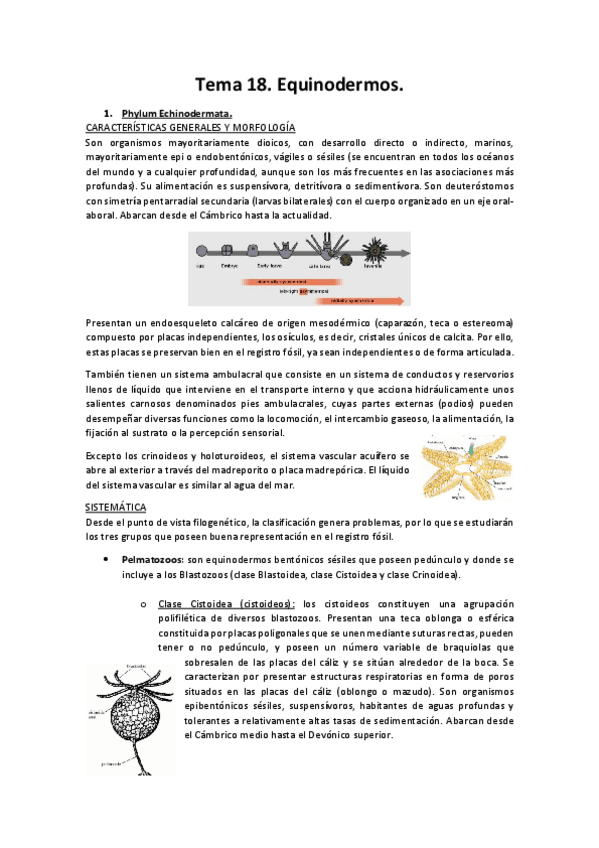 Miniatura del documento Tema-18.pdf