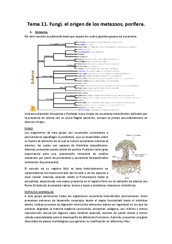 Miniatura del documento Tema-11.pdf