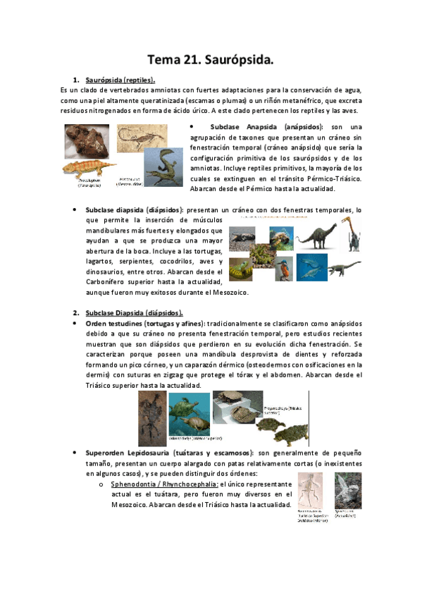 Miniatura del documento Tema-21.pdf
