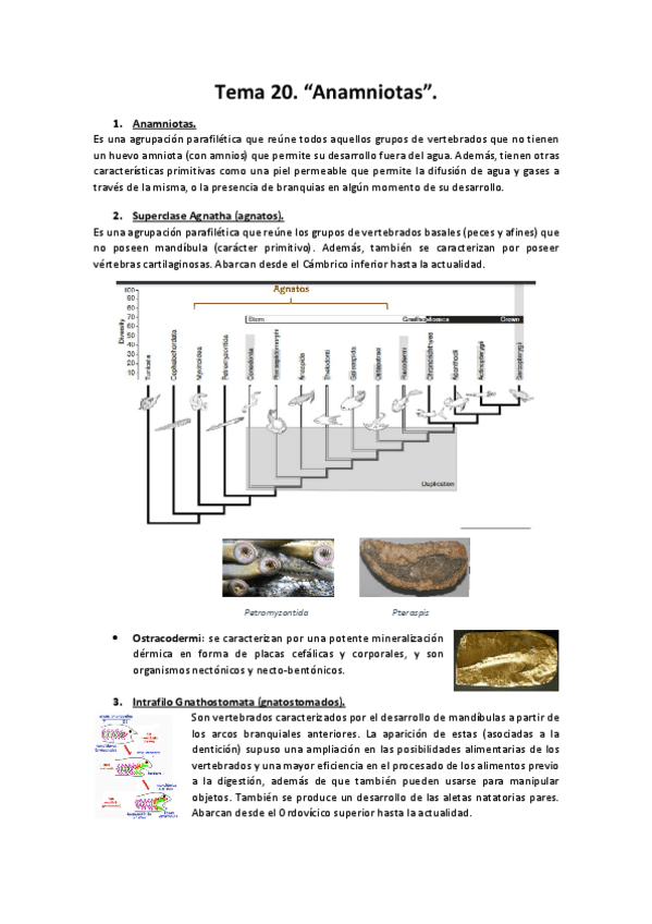 Miniatura del documento Tema-20.pdf