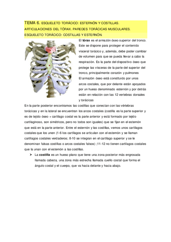 Miniatura del documento TEMA-6.pdf