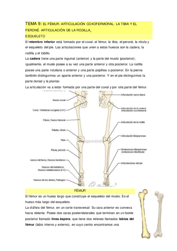 Miniatura del documento TEMA-9.pdf