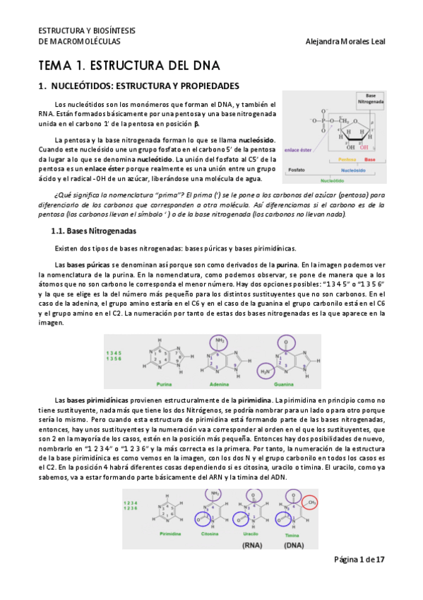 Miniatura del documento TEMA-1-EBM.pdf