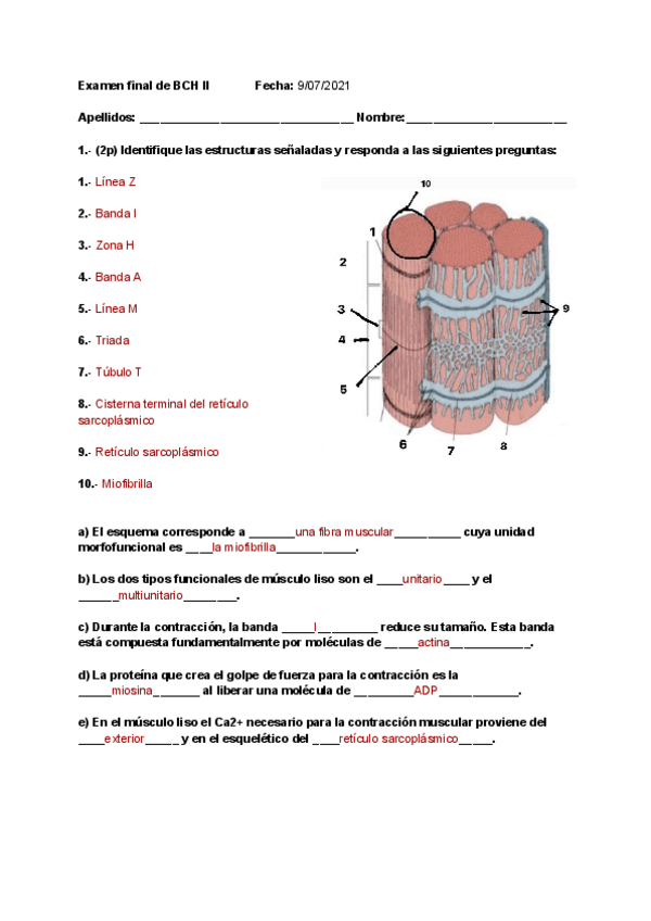 Miniatura del documento Final-bch-II.pdf