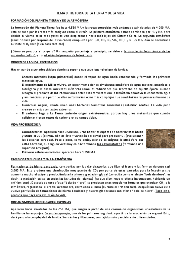 Miniatura del documento TEMA-9.pdf