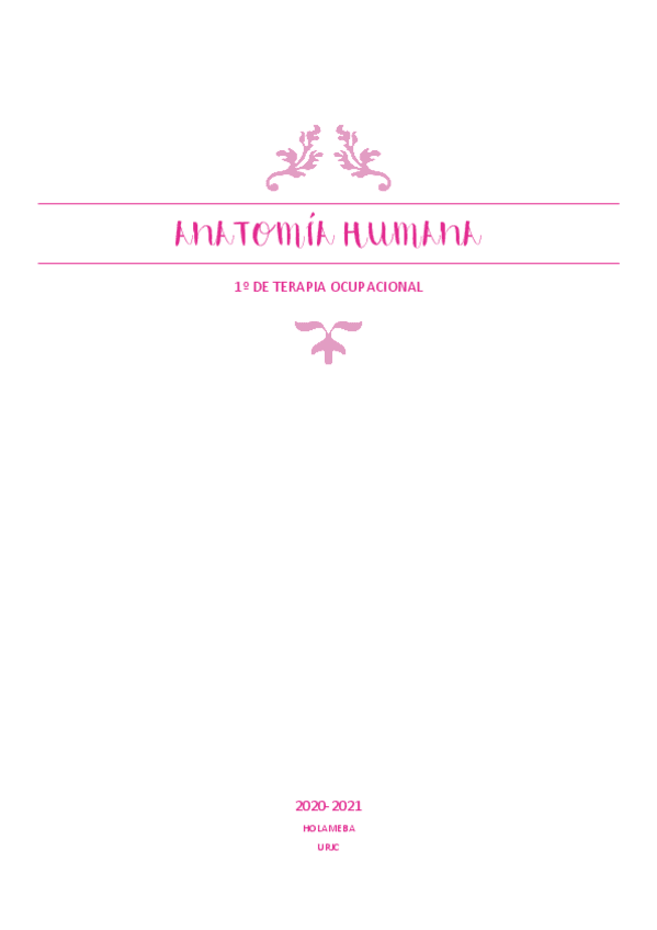 Miniatura del documento Anatomia-Apuntes-Teoria-Tema-1-12.pdf