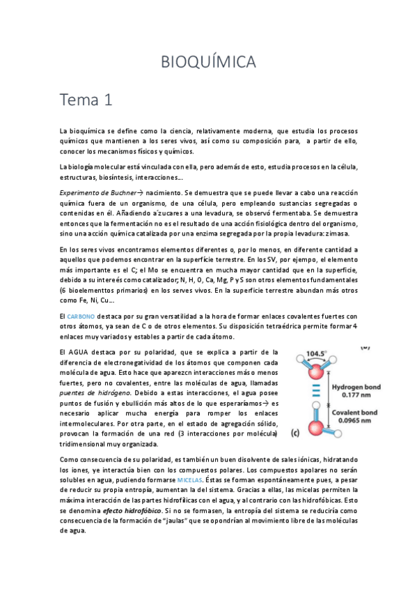 Miniatura del documento TODO-BIOQUIMICA-.pdf
