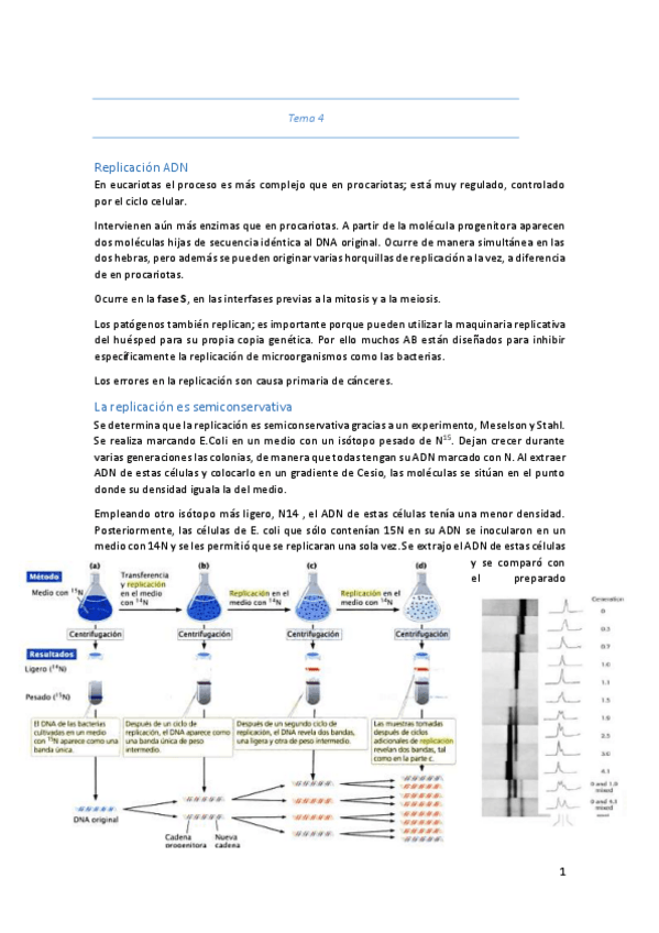 Miniatura del documento Tema-4.pdf